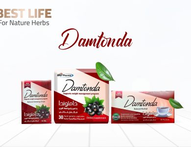 كورس دامتوندا المتكامل