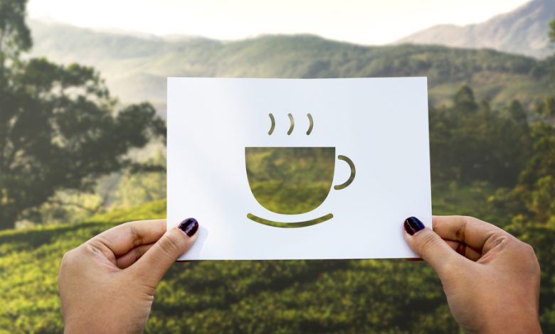 تجربتي مع القهوة الخضراء